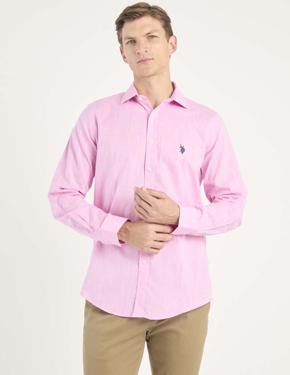 Rosa 6