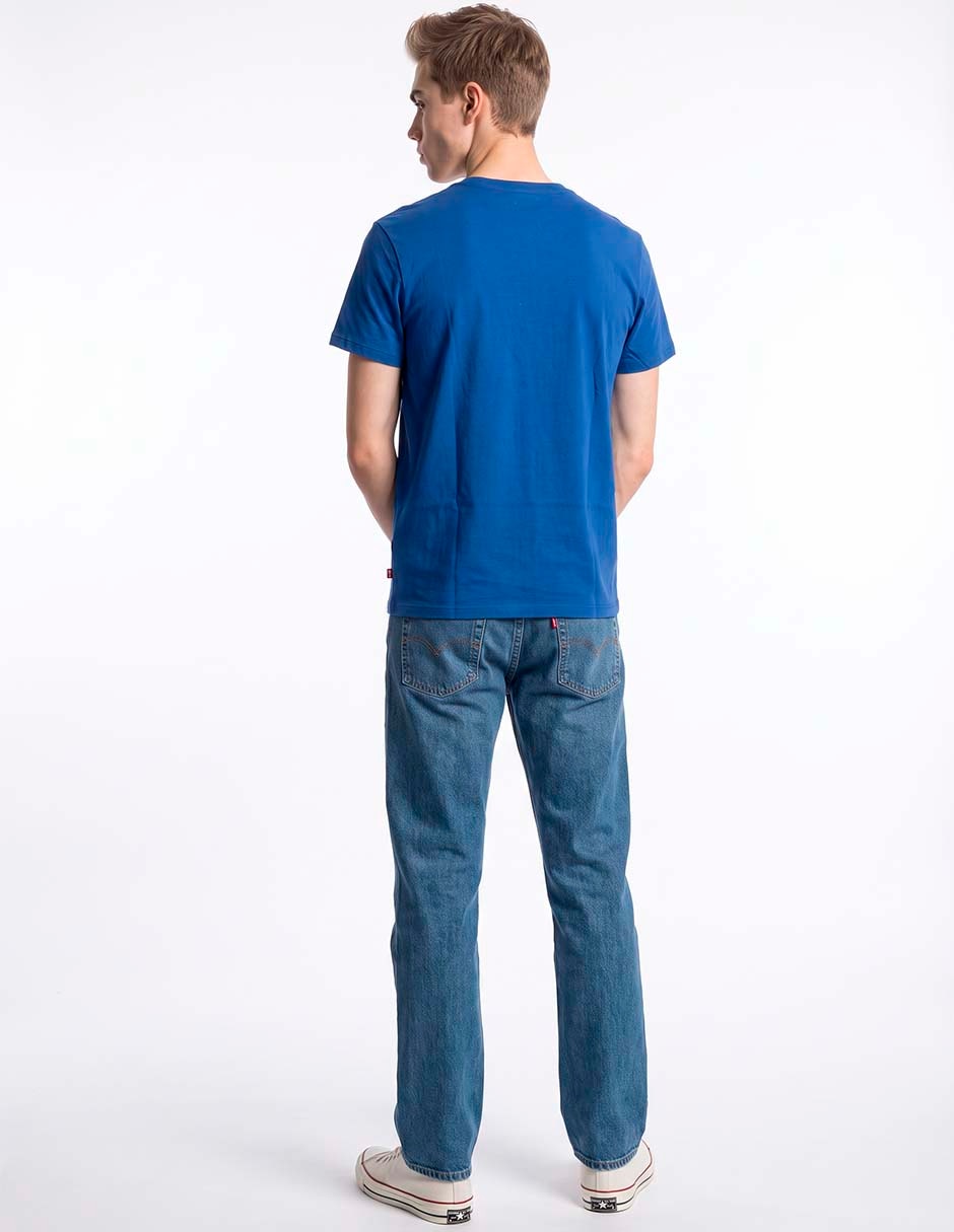 Playera